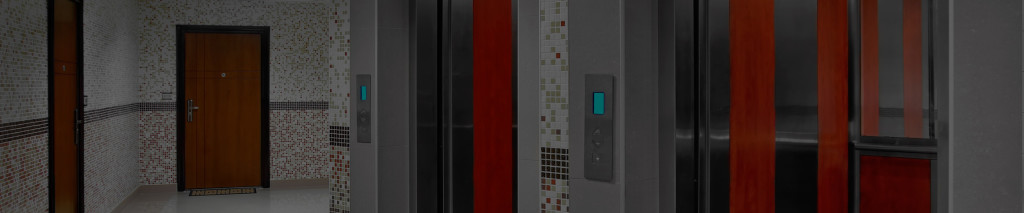 www.elettrowatt-lift.com